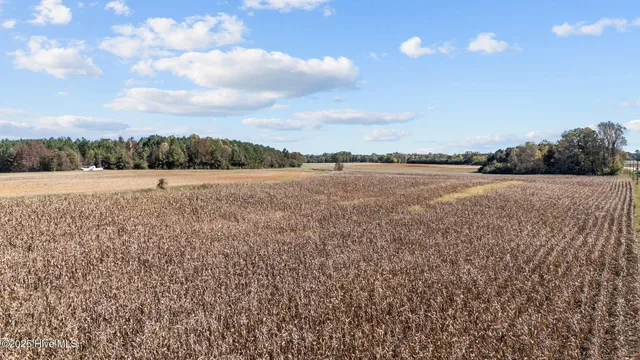 $649,900 | 0 Nc 43, Whitakers, NC 27891