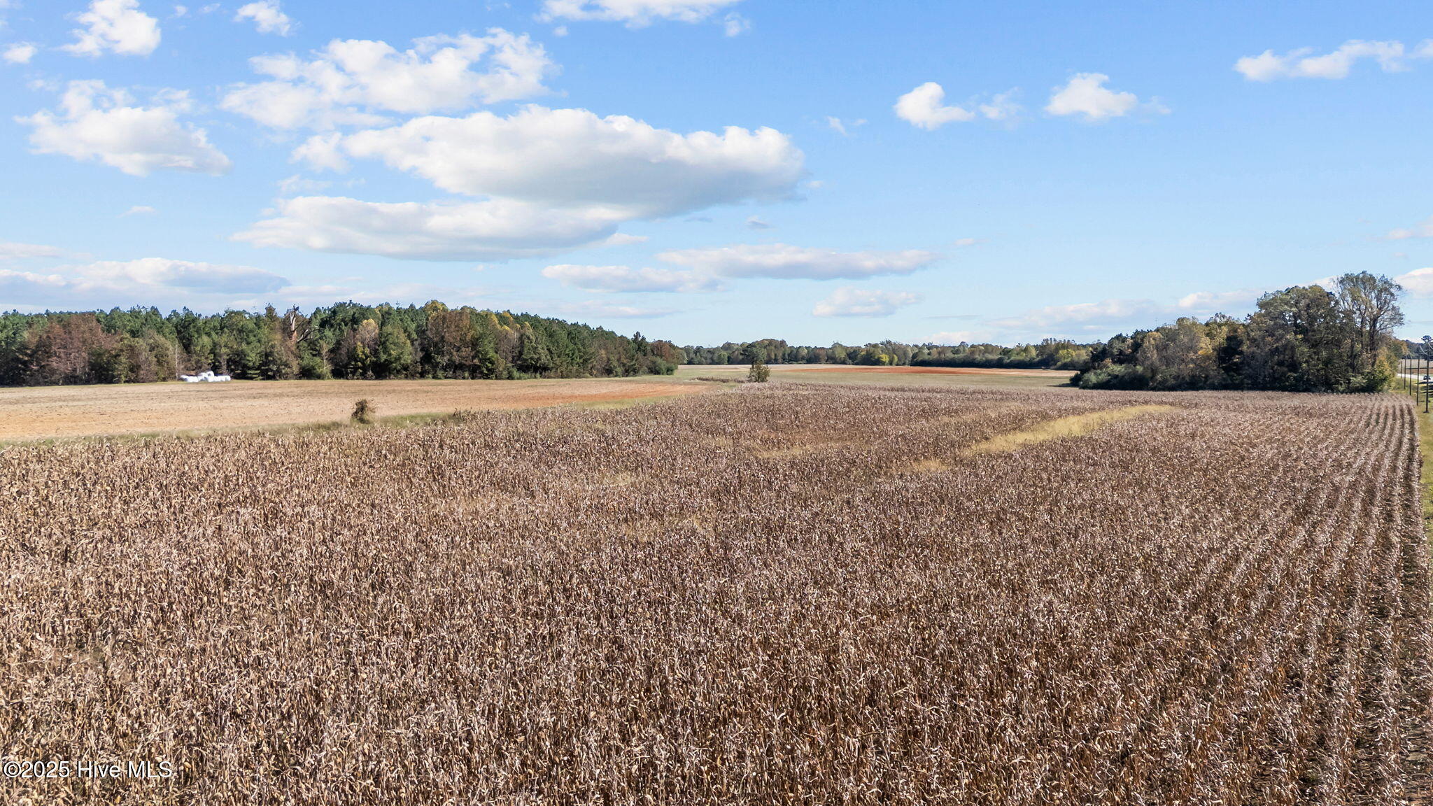0 Nc 43 Whitakers, NC 27891 - Photo 16 of 17 16-web-or-mls-DJI_20251024135645_0355_D
