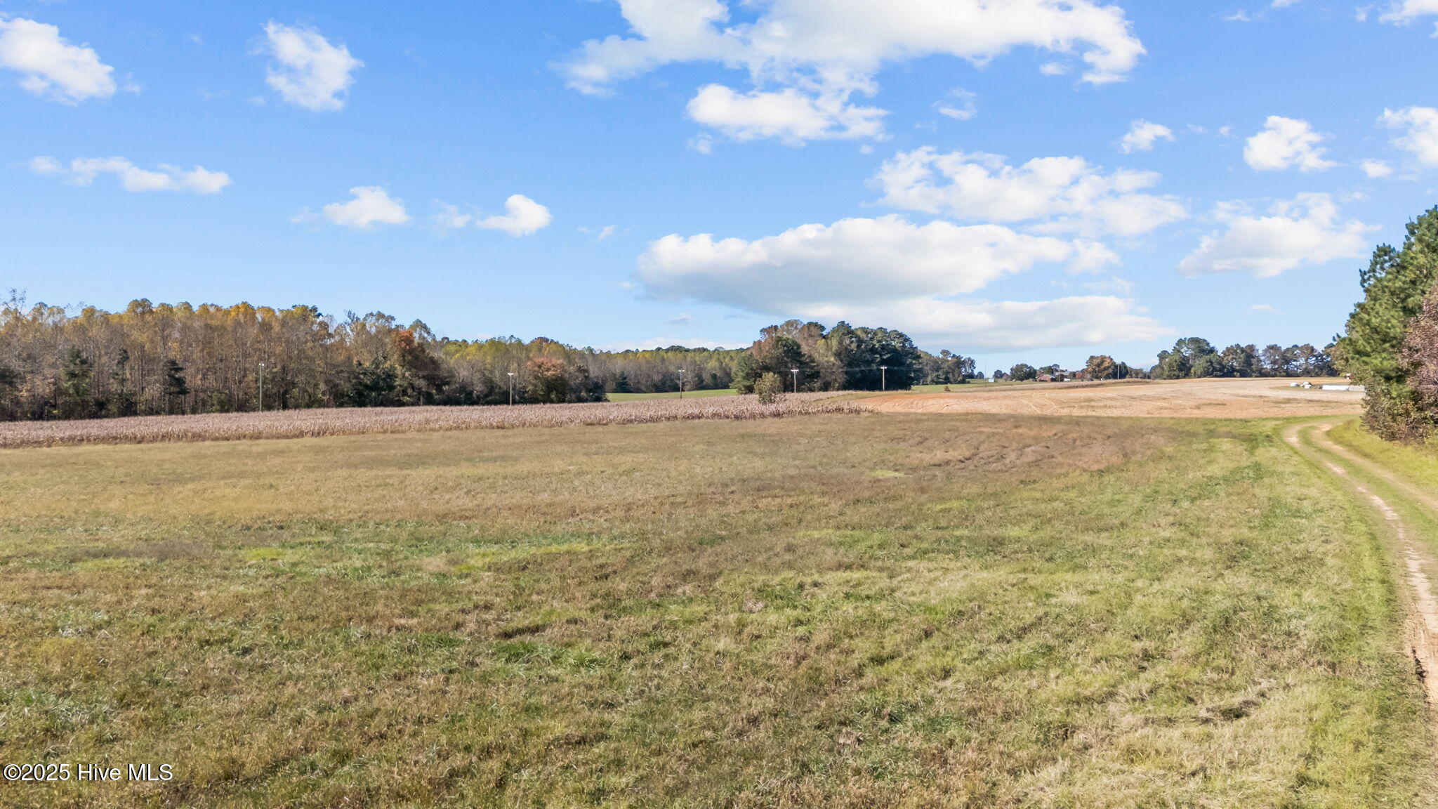 0 Nc 43 Whitakers, NC 27891 - Photo 17 of 17 17-web-or-mls-DJI_20251024135751_0356_D
