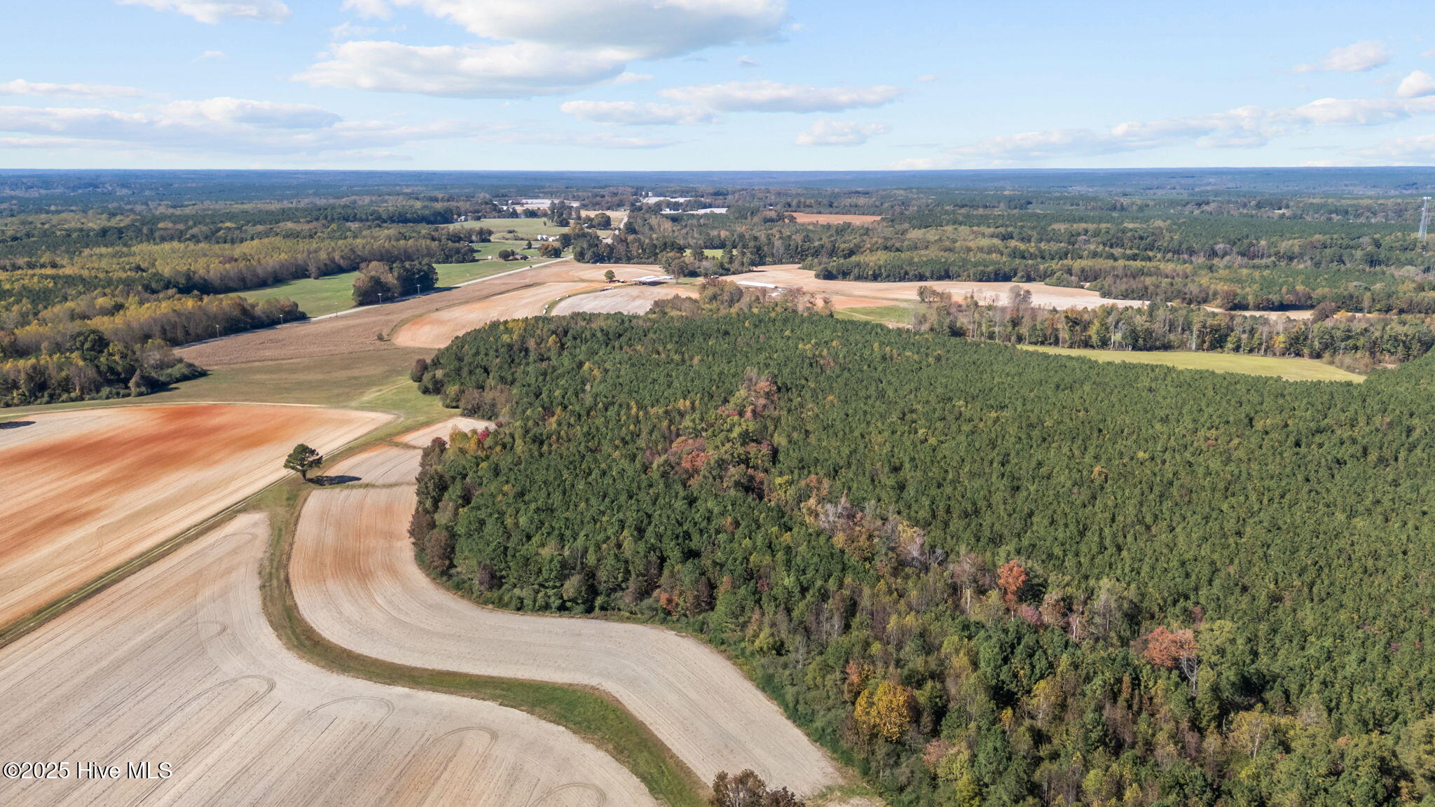 0 Nc 43 Whitakers, NC 27891 - Photo 9 of 17 9-web-or-mls-DJI_20251024135125_0348_D