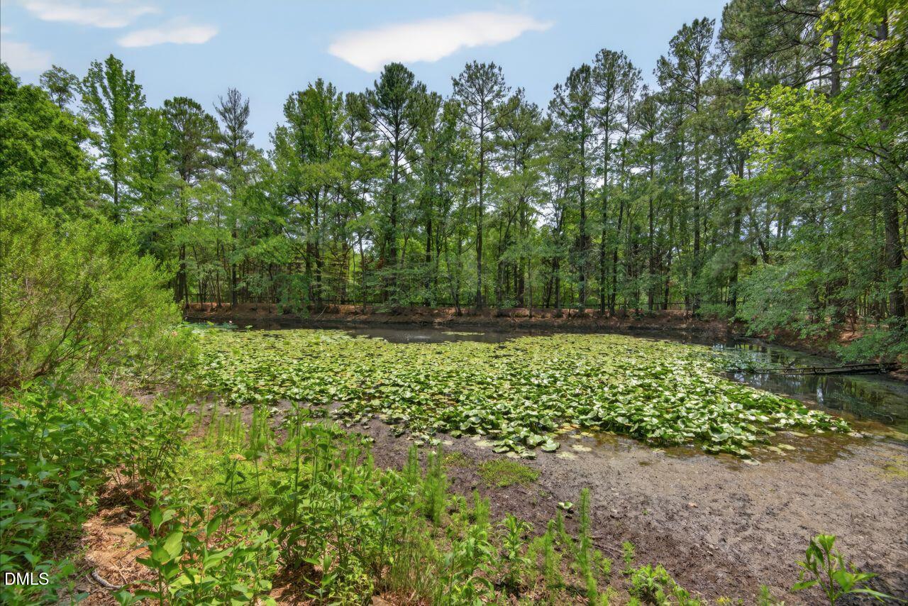 6904 St Marys Road Hillsborough, NC 27278 - Photo 57 of 64 82
