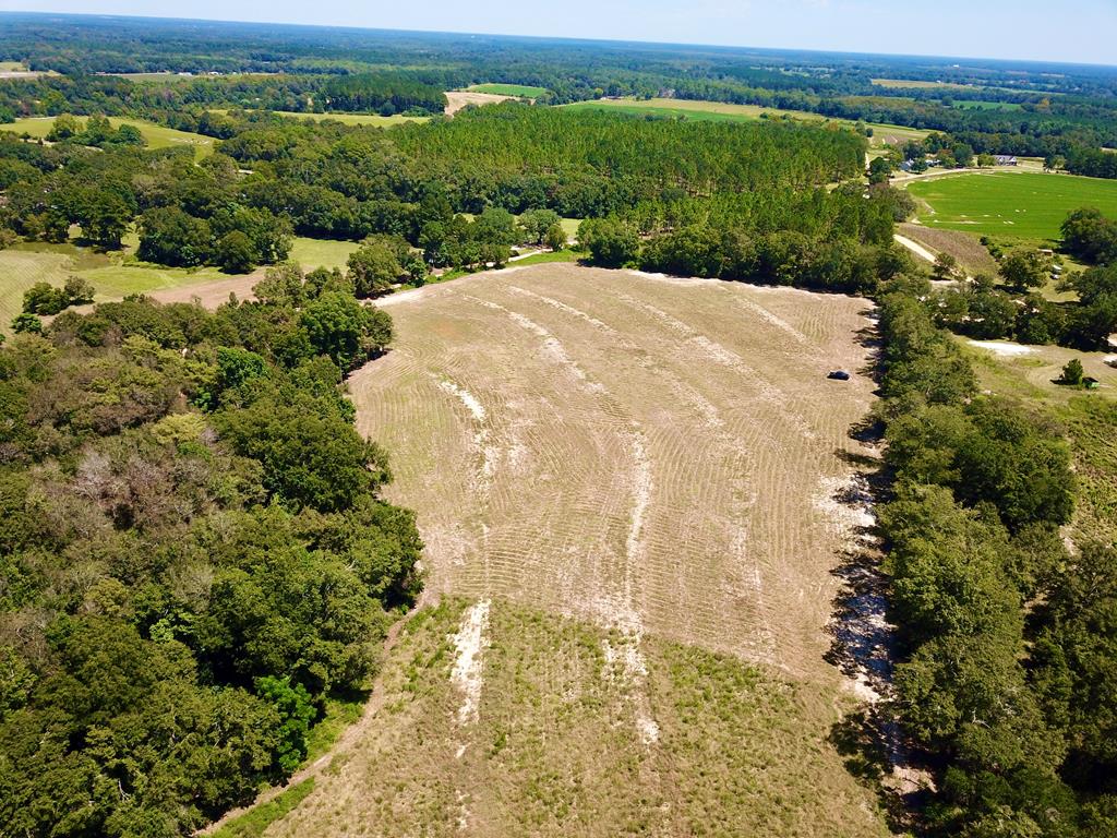 Lot 7 Acres Grady Garner Road Slocomb, AL 36375 - Photo 38 of 58