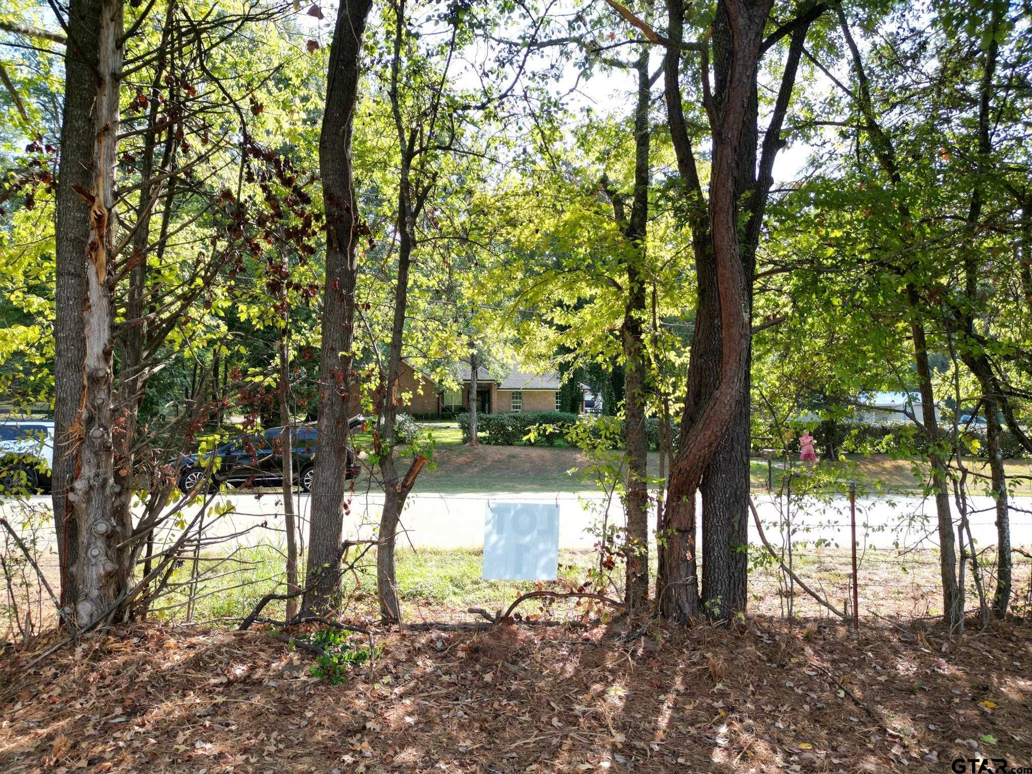 Lot 1 Willingham Road Whitehouse, TX 75791 - Photo 13 of 13 Gallery Image 13