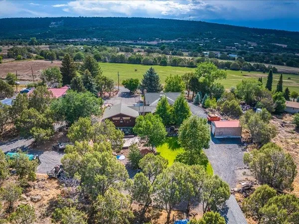 a view of a backyard with plants and a patio