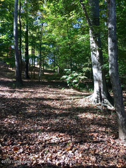 0 Indian Ridge Road Falls Of Rough, KY 40119 - Photo 2 of 3 IMG_8173