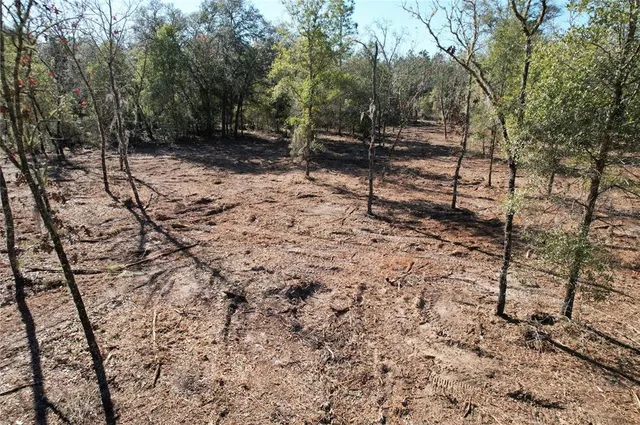 a view of a yard with trees