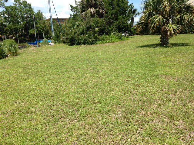 34 Sandy Lane Shell Point, FL 32327 - Photo 8 of 11 Gallery Image 8