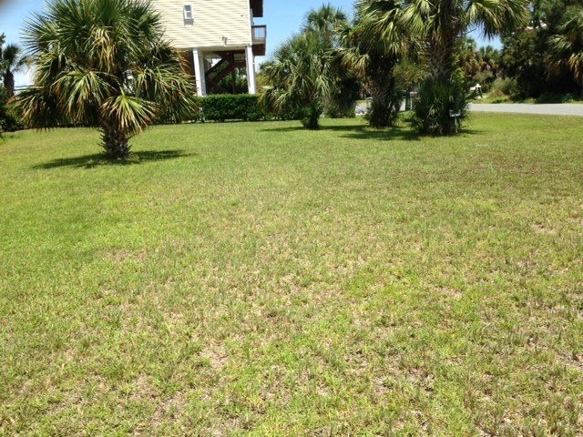 34 Sandy Lane Shell Point, FL 32327 - Photo 10 of 11 Gallery Image 10