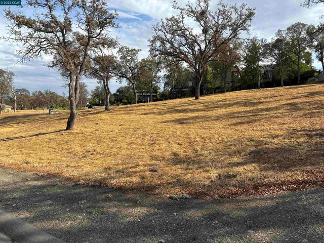 a view of empty space with large trees