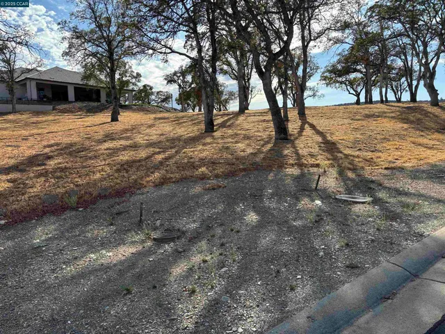 a view of empty space with trees