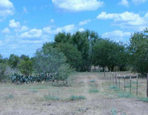 a view of a forest with trees in the background