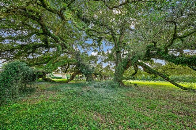 80369 Robinson Road Folsom, LA 70437 - Photo 26 of 31 Gallery Image 26
