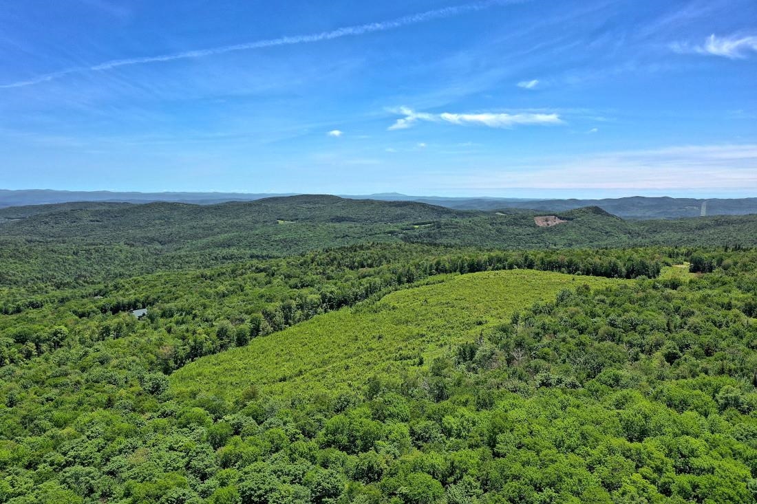 0 Valley View Drive, Unit 9 Chester, VT 05143 - Photo 12 of 17