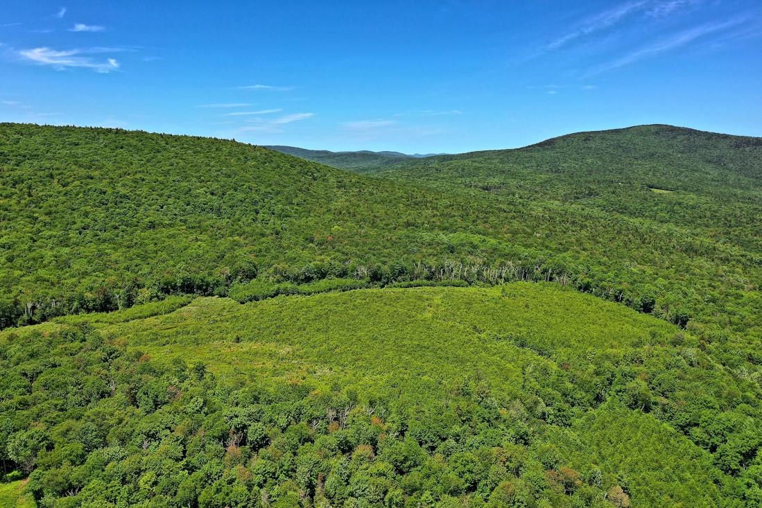 0 Valley View Drive, Unit 9 Chester, VT 05143 - Photo 15 of 17