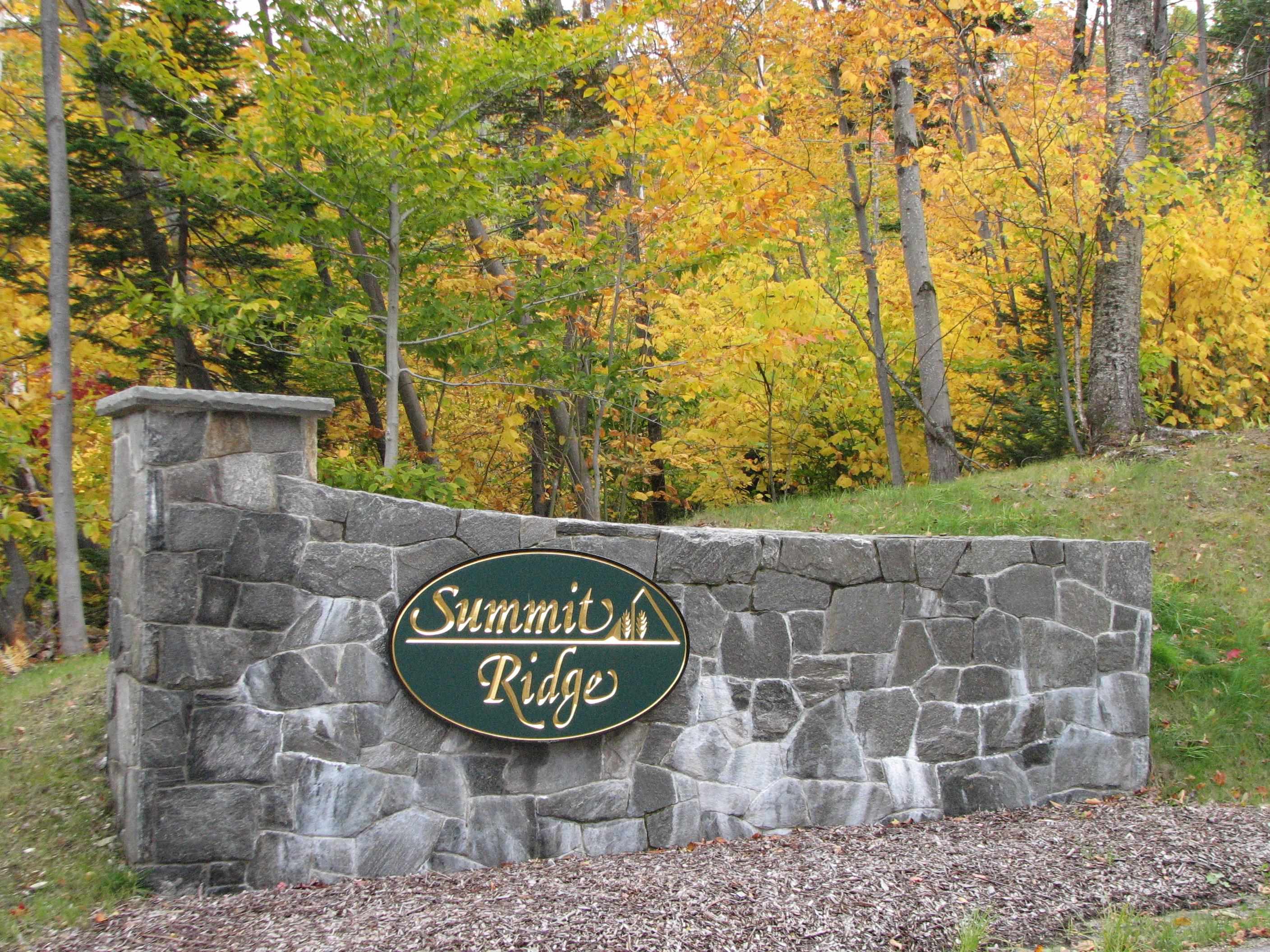 0 Valley View Drive, Unit 9 Chester, VT 05143 - Photo 17 of 17