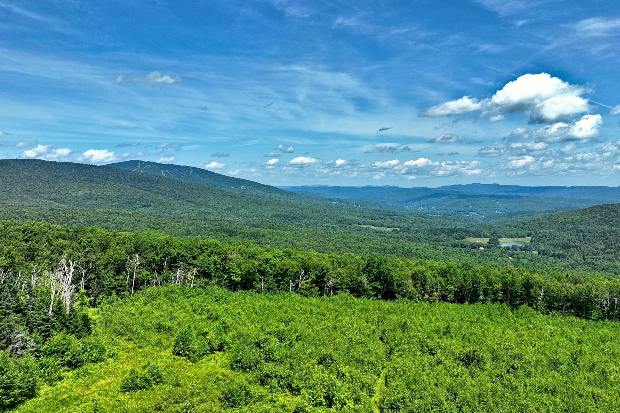 0 Valley View Drive, Unit 9 Chester, VT 05143 - Photo 4 of 17