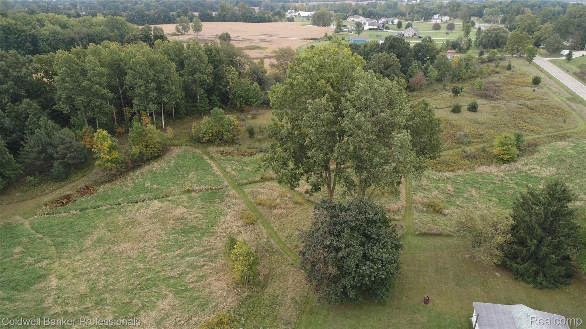2947 Parmenter Road Corunna, MI 48817 - Photo 47 of 51 Side yard1.JPG