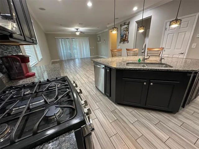 $2,995 | 21529 Southern Charm Drive, Land O Lakes, FL 34637