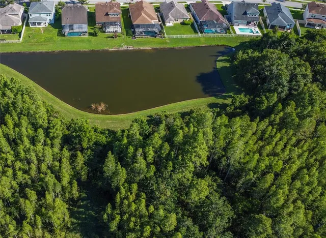 $2,995 | 21529 Southern Charm Drive, Land O Lakes, FL 34637