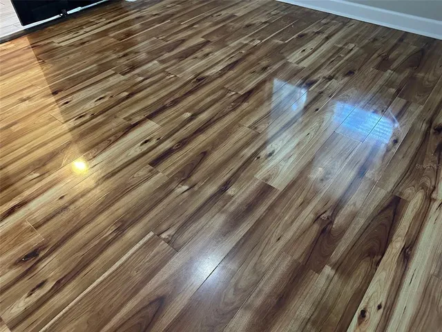 $2,995 | 21529 Southern Charm Drive, Land O Lakes, FL 34637