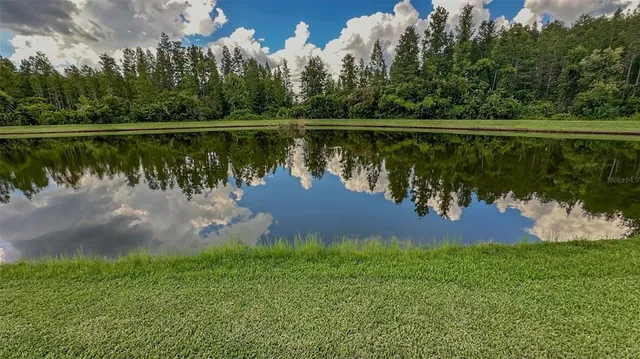 $2,995 | 21529 Southern Charm Drive, Land O Lakes, FL 34637