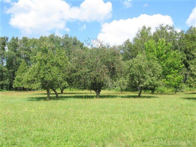 5741 Hintz Road Palms, MI 48465 - Photo 40 of 51 Fruit Trees