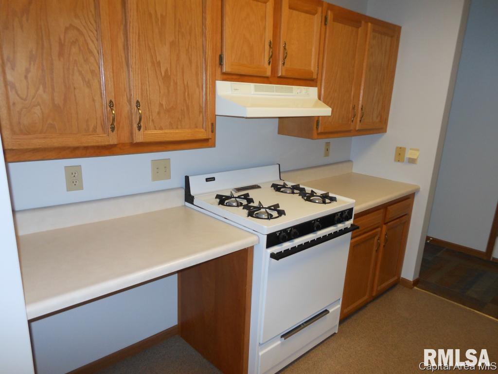 309 Federal Way Springfield, IL 62702 - Photo 7 of 21