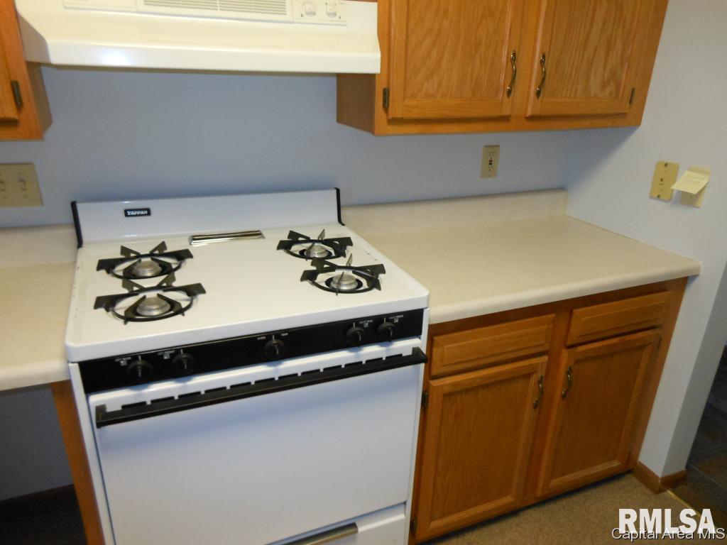 309 Federal Way Springfield, IL 62702 - Photo 9 of 21