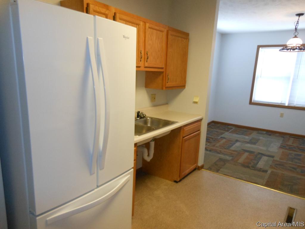 309 Federal Way Springfield, IL 62702 - Photo 10 of 21