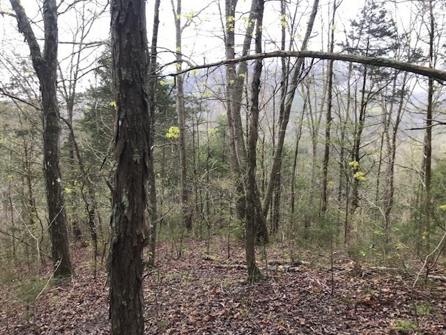 468 Co Road Englewood, TN 37329 - Photo 26 of 33