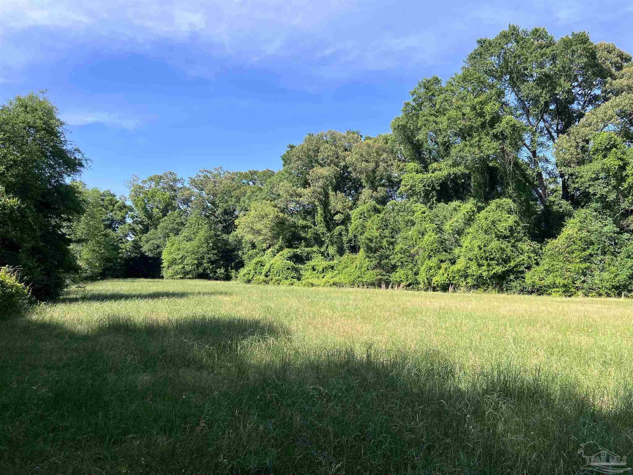 0 Marietta Road Andalusia, AL 36420 - Photo 11 of 27