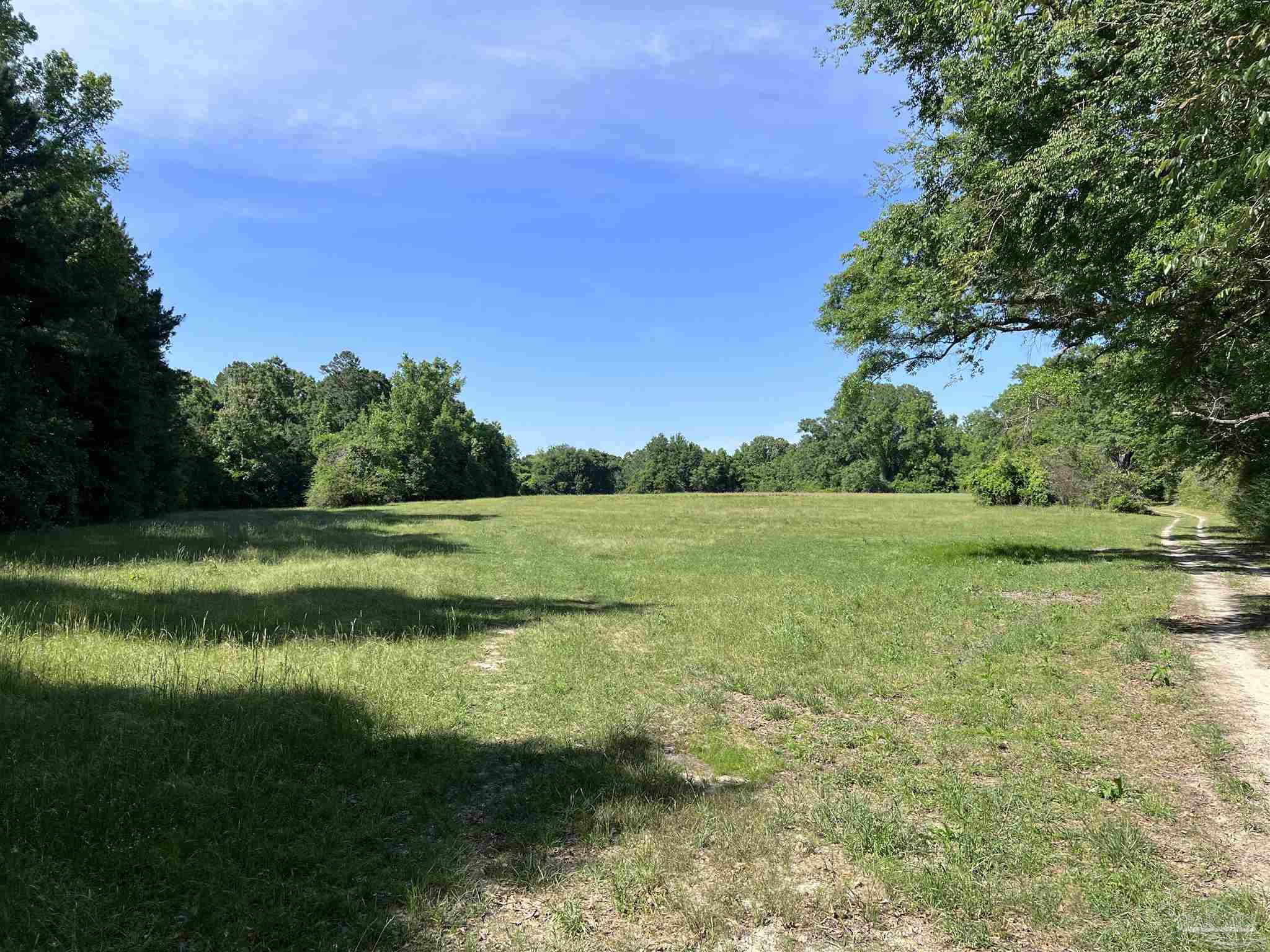 0 Marietta Road Andalusia, AL 36420 - Photo 12 of 27