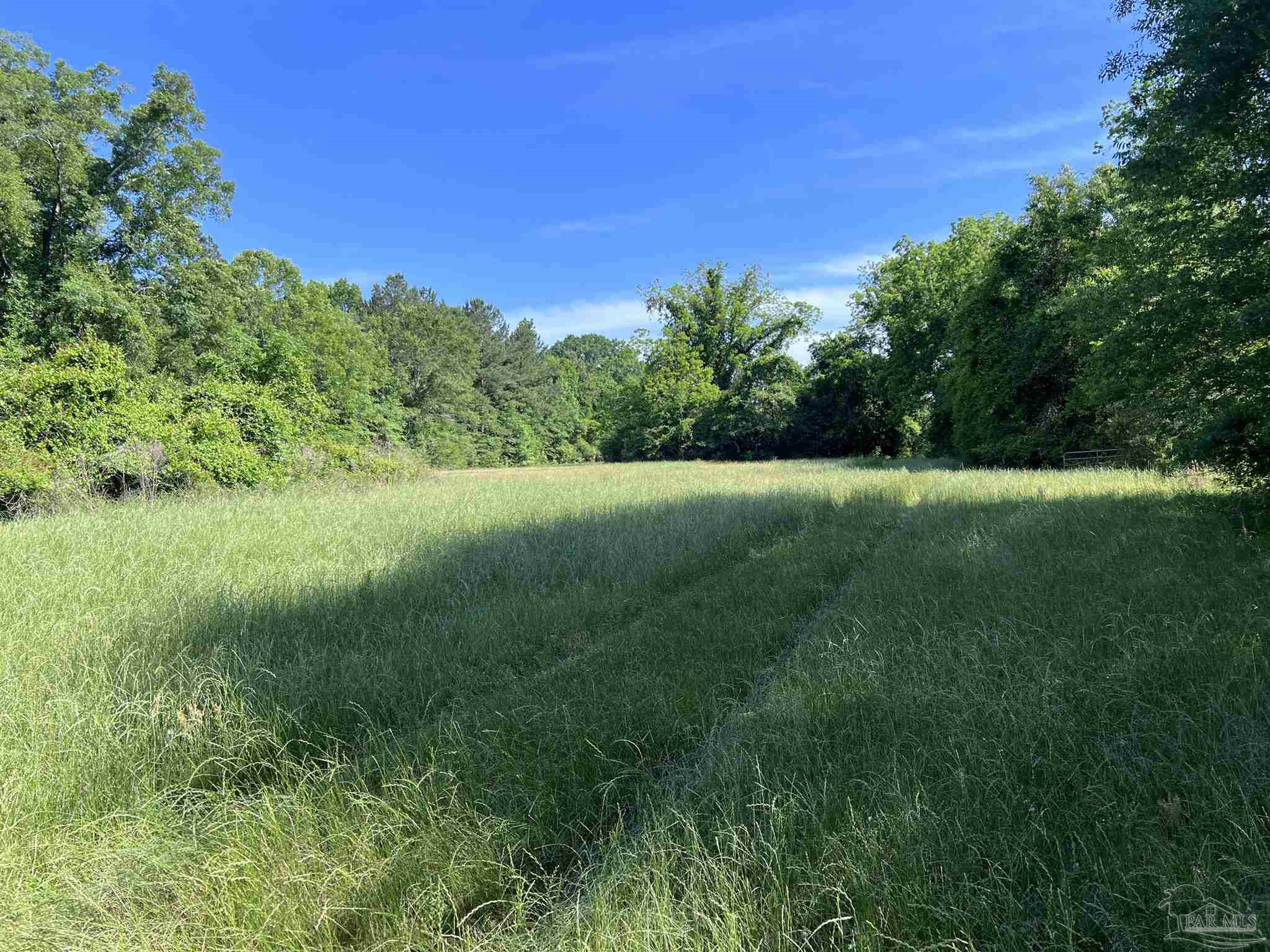 0 Marietta Road Andalusia, AL 36420 - Photo 13 of 27