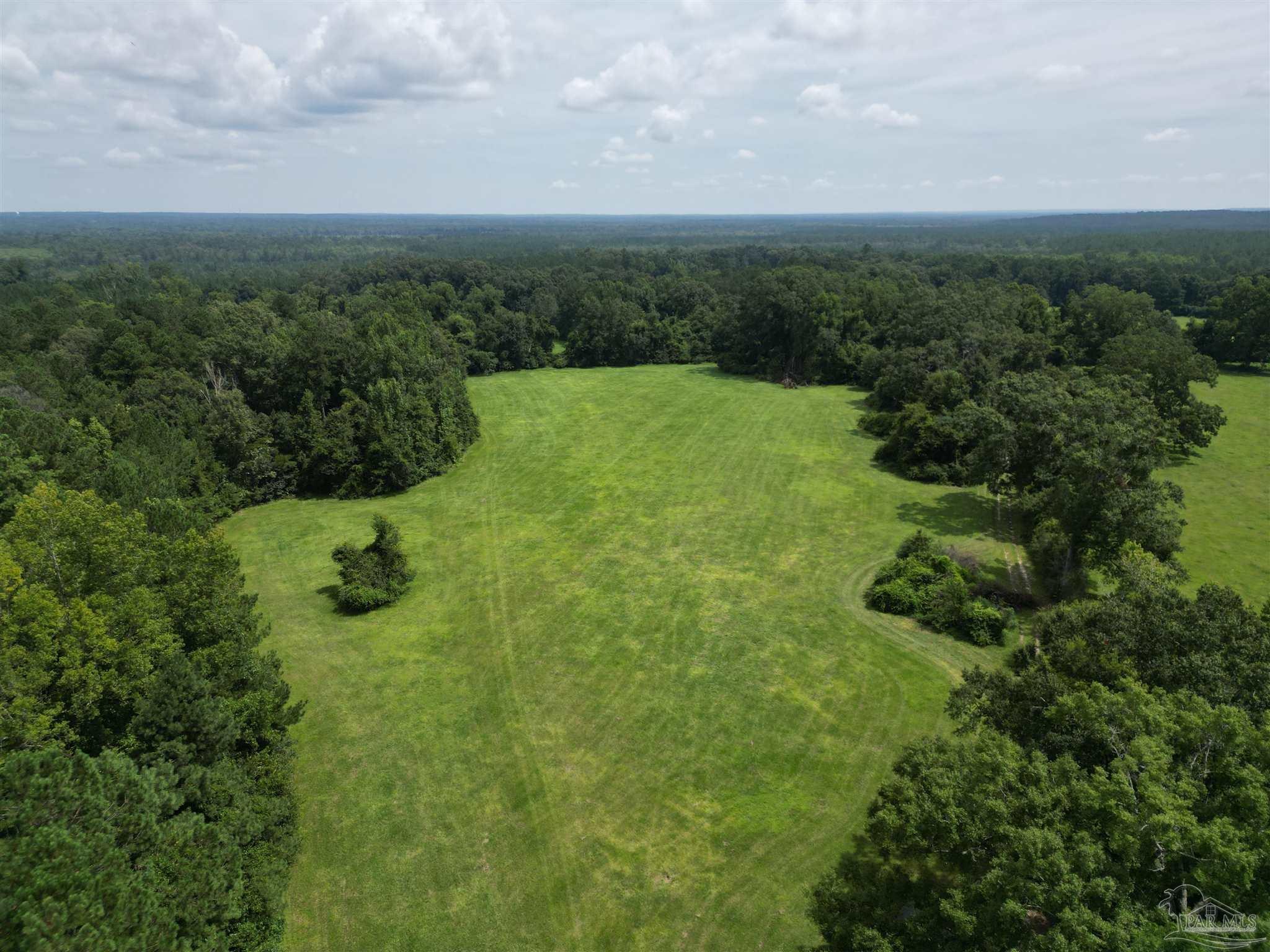 0 Marietta Road Andalusia, AL 36420 - Photo 14 of 27