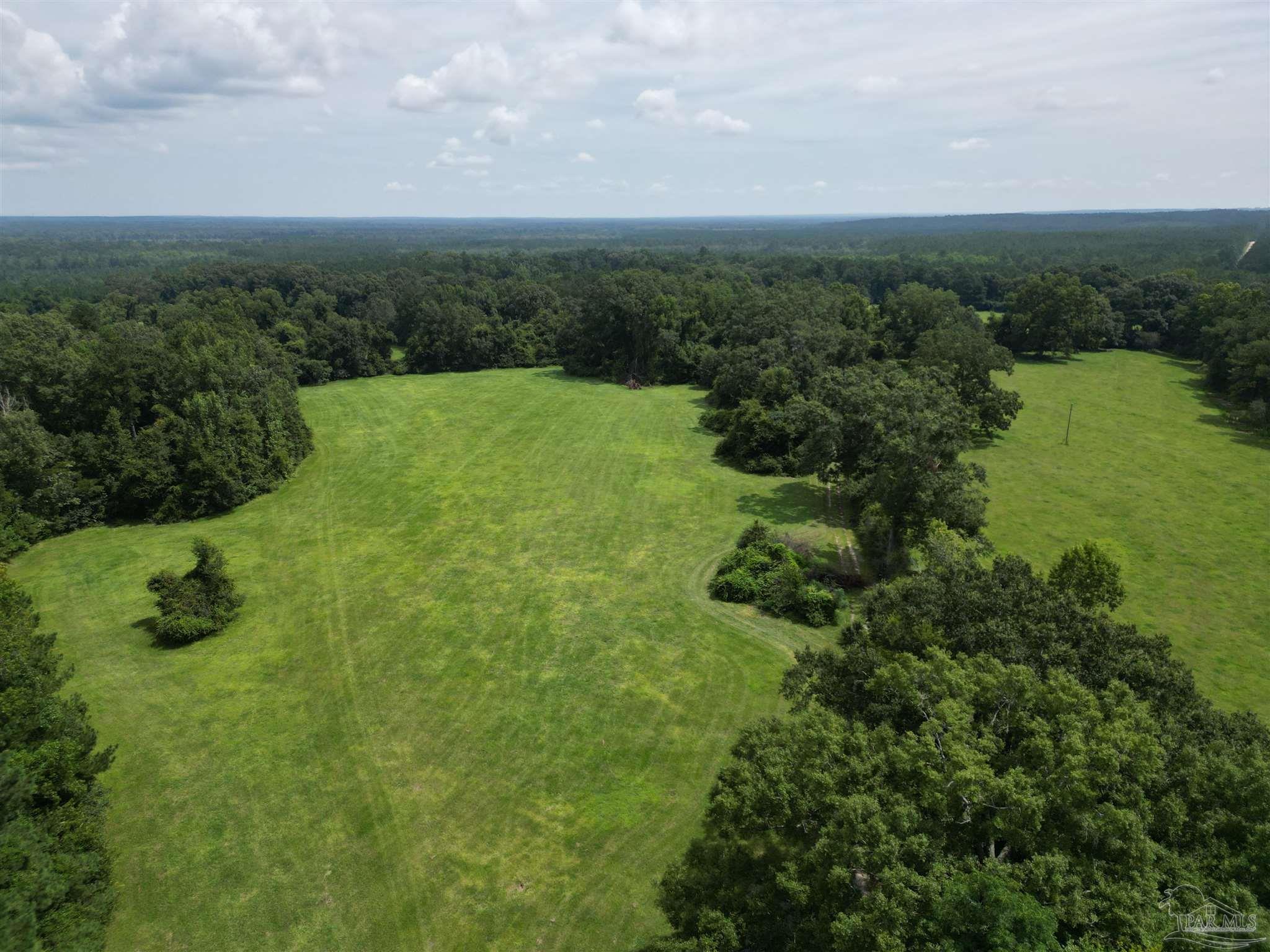 0 Marietta Road Andalusia, AL 36420 - Photo 15 of 27