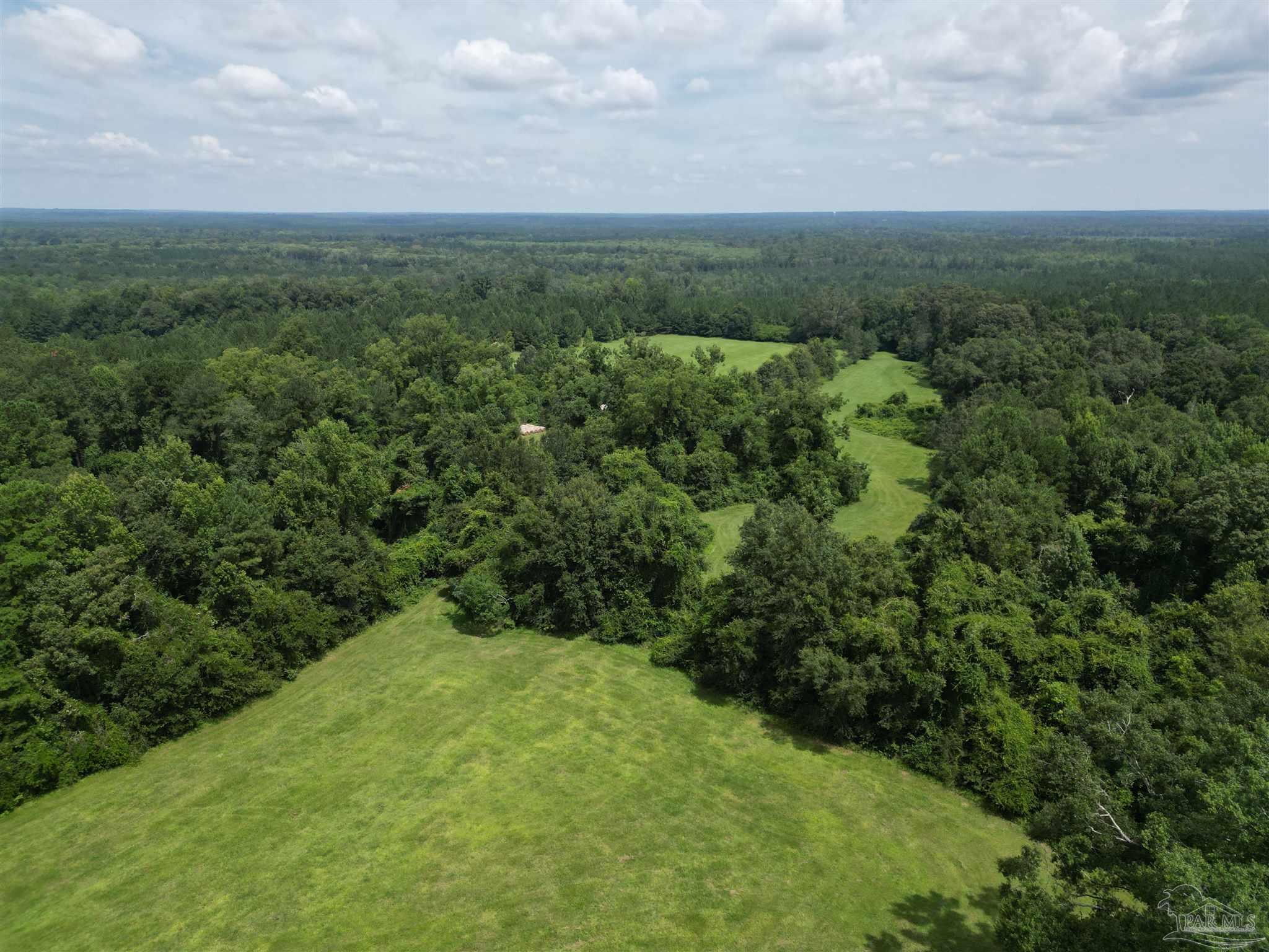 0 Marietta Road Andalusia, AL 36420 - Photo 16 of 27
