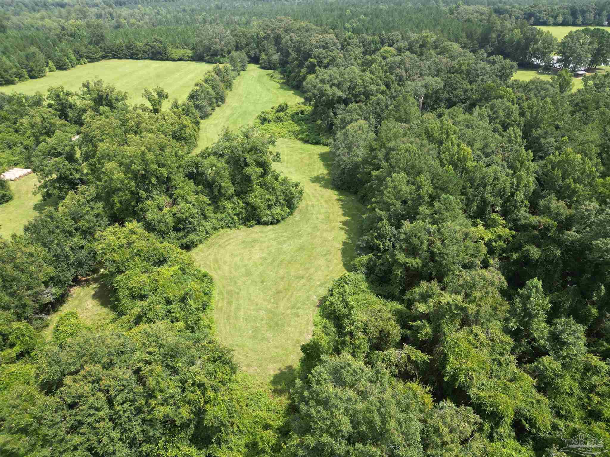 0 Marietta Road Andalusia, AL 36420 - Photo 17 of 27