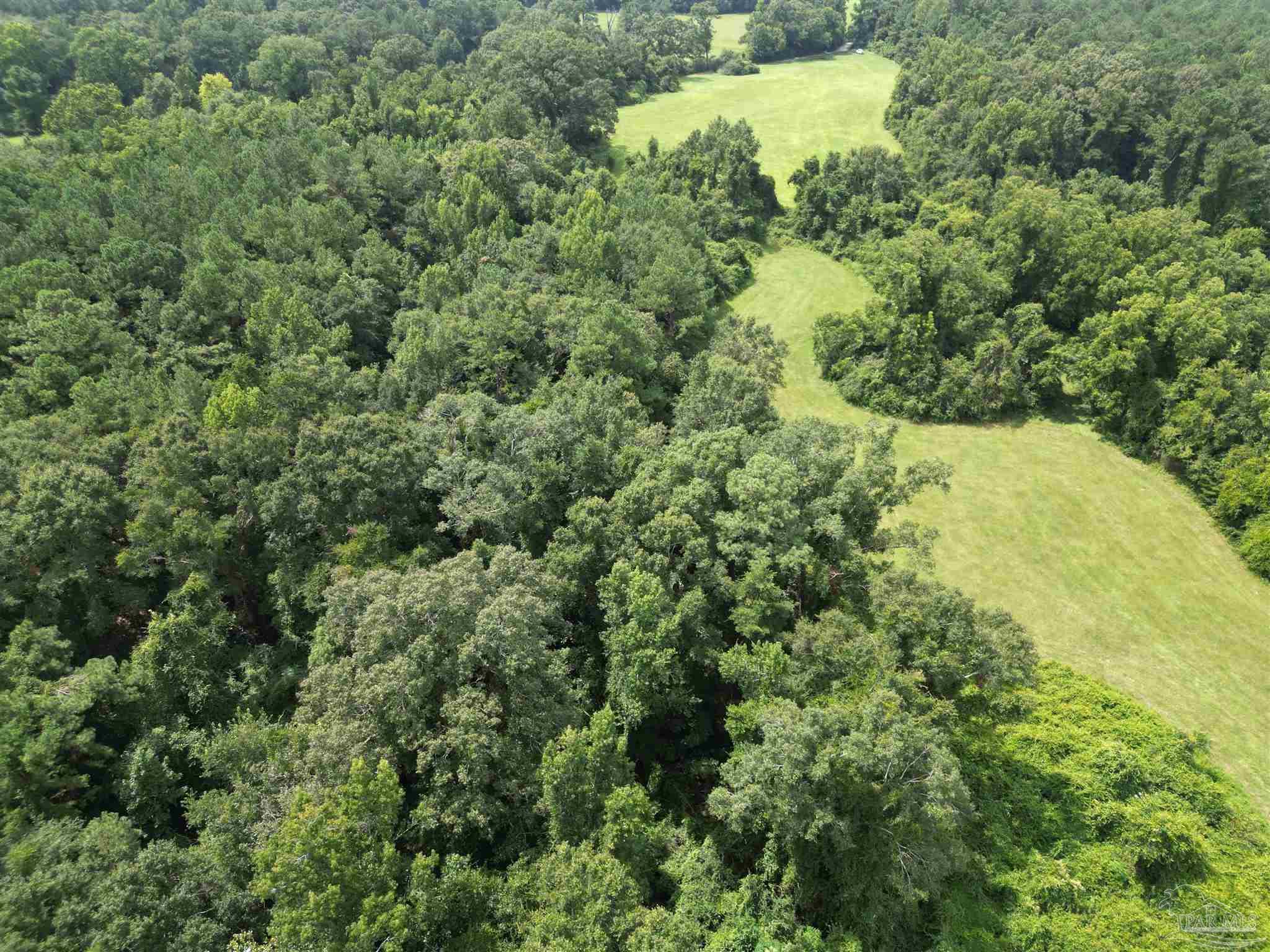 0 Marietta Road Andalusia, AL 36420 - Photo 18 of 27