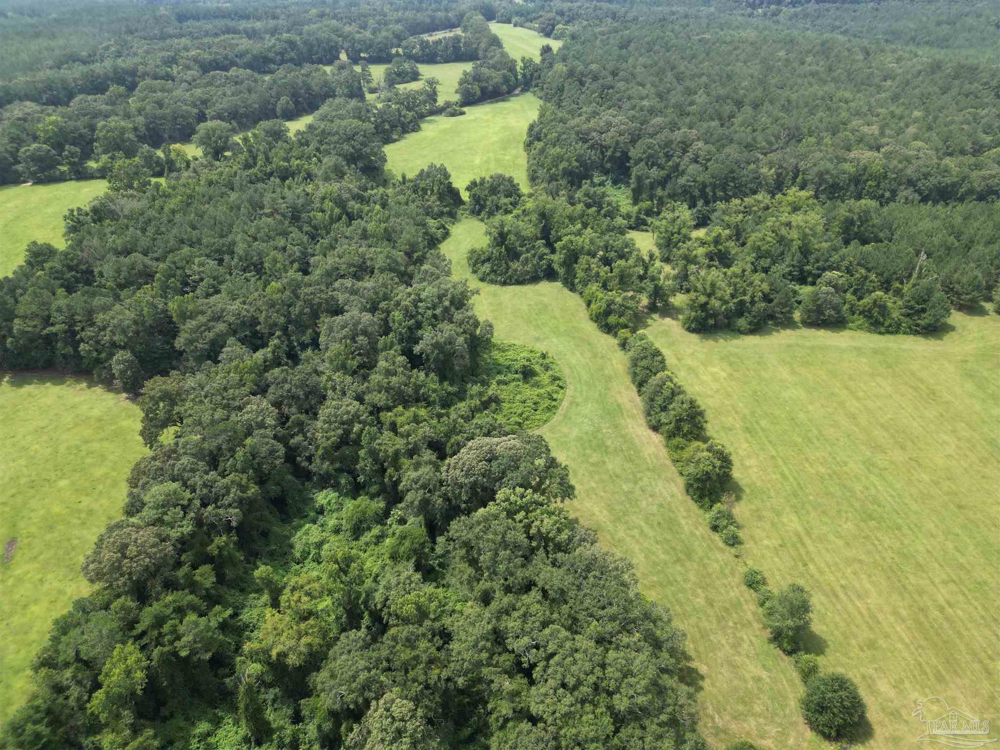 0 Marietta Road Andalusia, AL 36420 - Photo 19 of 27