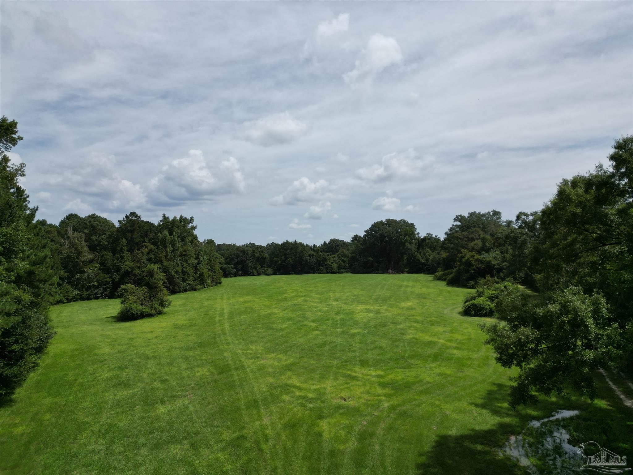 0 Marietta Road Andalusia, AL 36420 - Photo 2 of 27