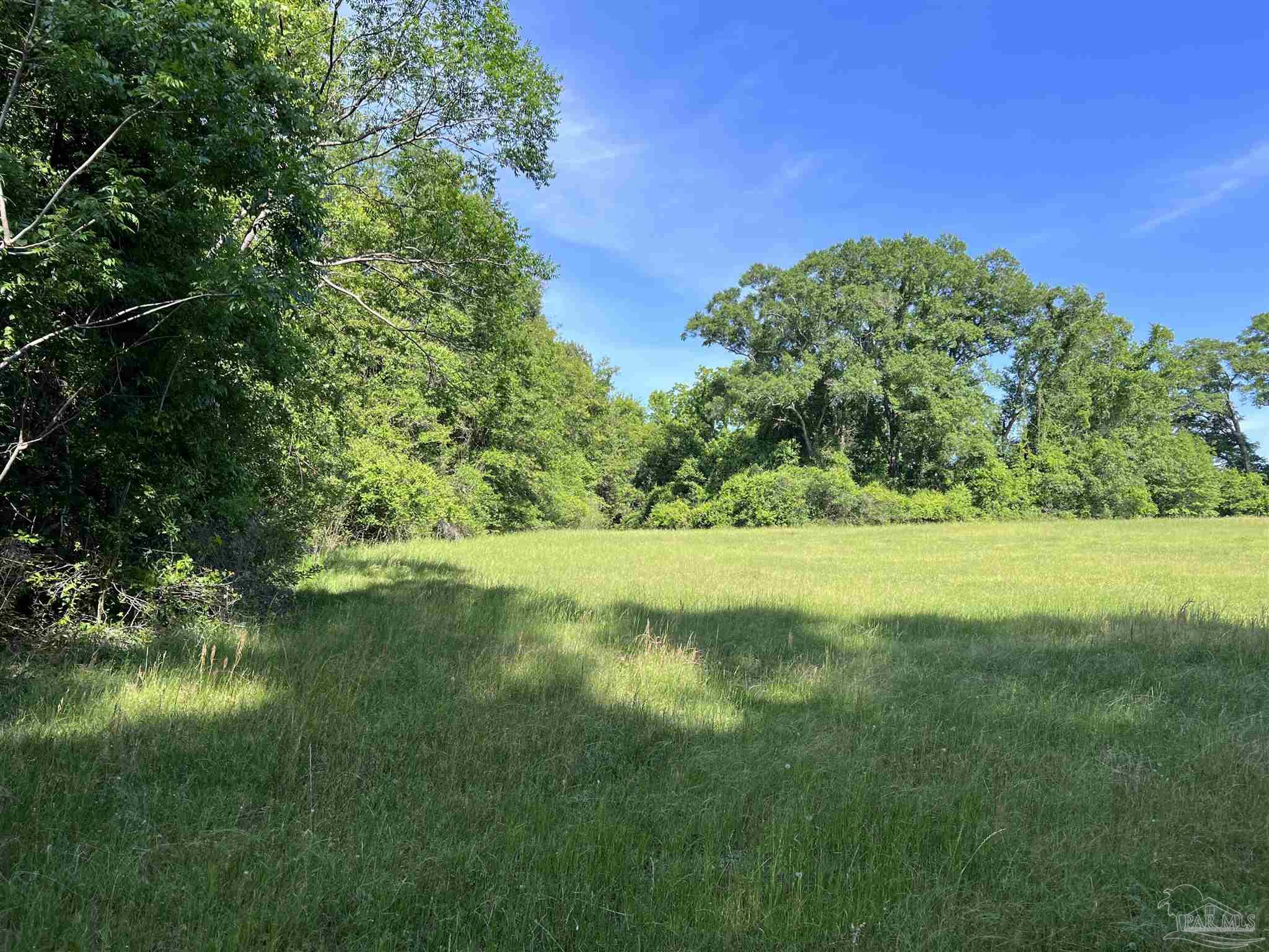 0 Marietta Road Andalusia, AL 36420 - Photo 21 of 27