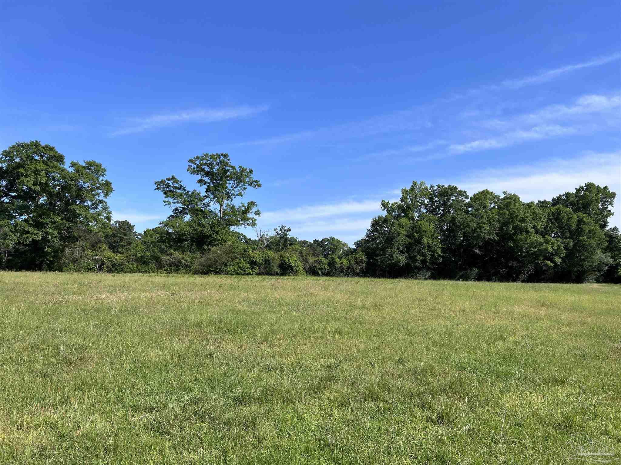 0 Marietta Road Andalusia, AL 36420 - Photo 22 of 27