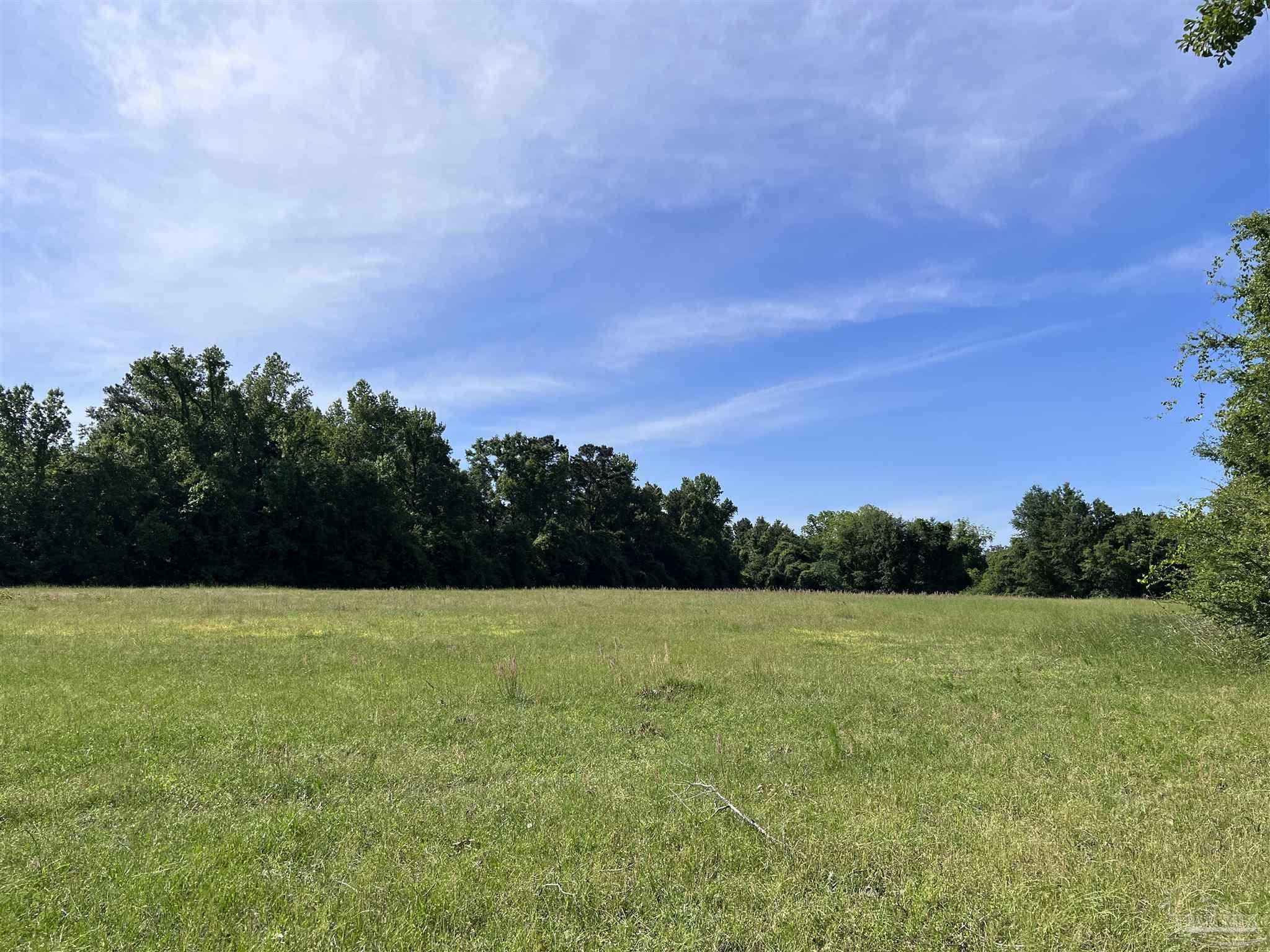 0 Marietta Road Andalusia, AL 36420 - Photo 23 of 27