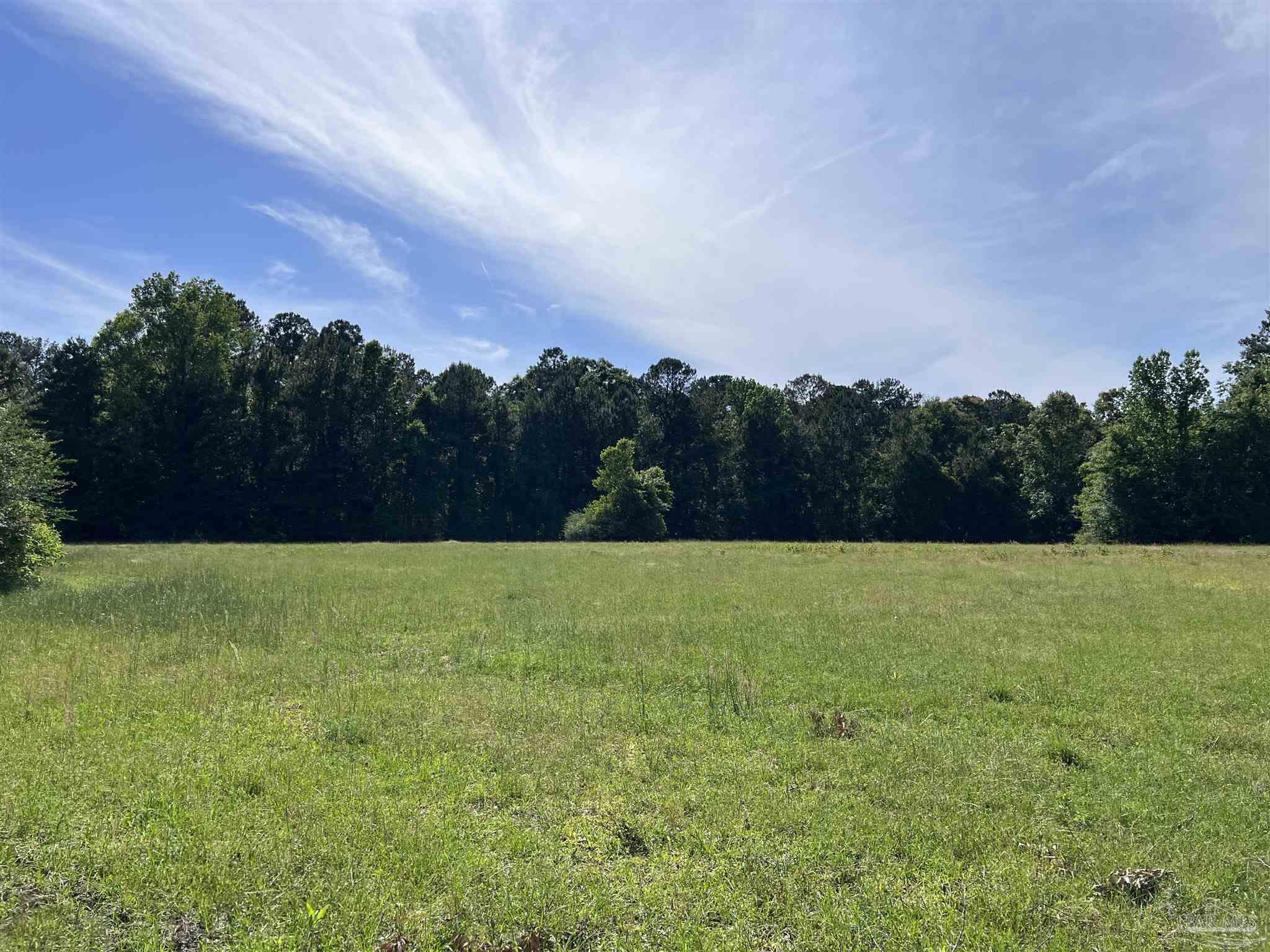 0 Marietta Road Andalusia, AL 36420 - Photo 24 of 27