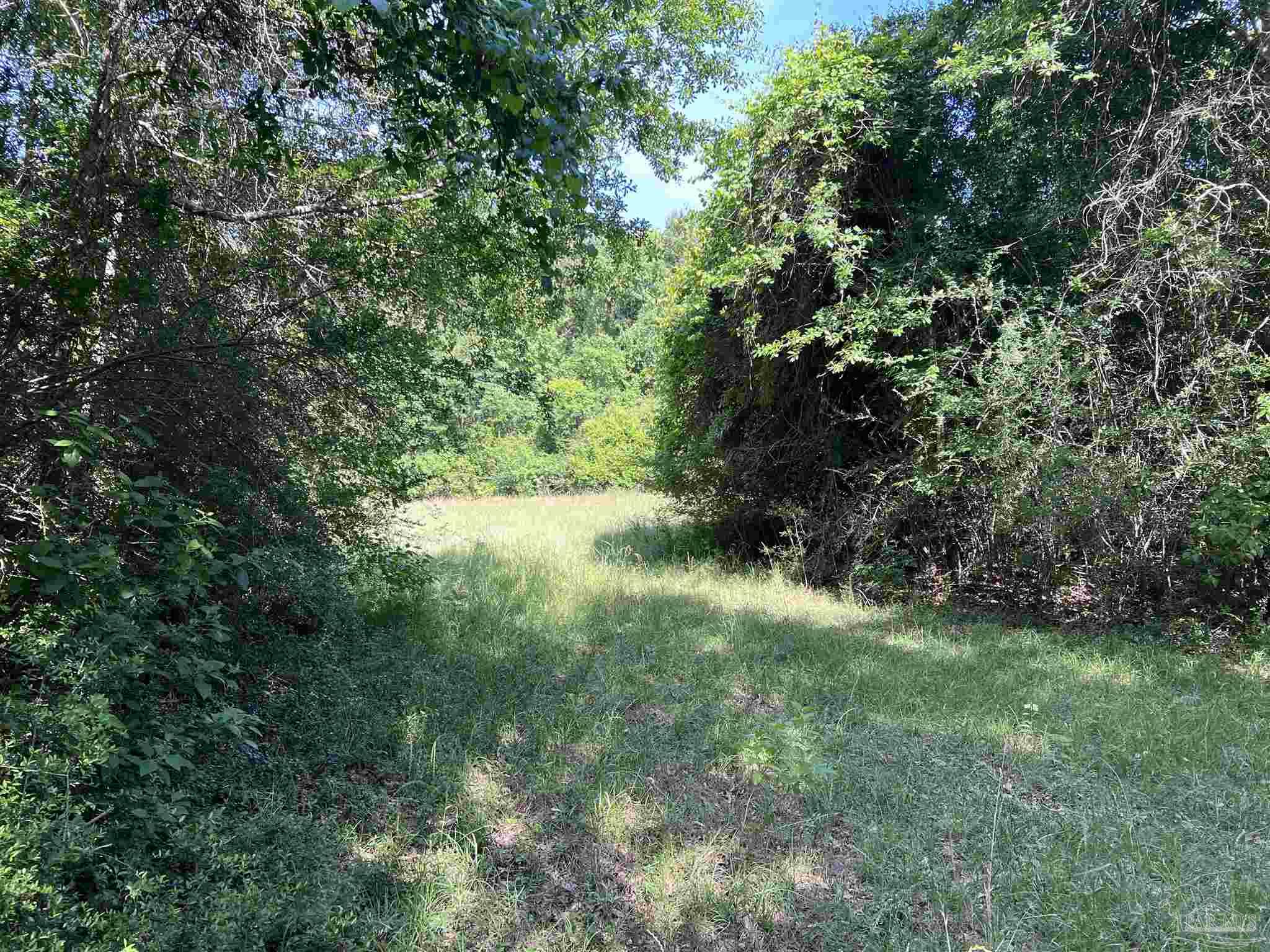 0 Marietta Road Andalusia, AL 36420 - Photo 25 of 27