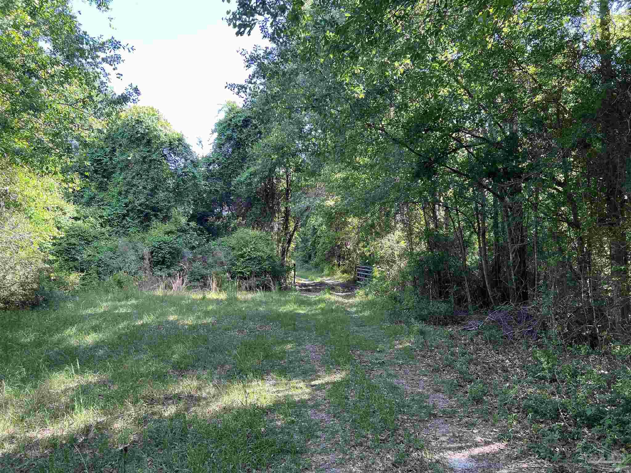 0 Marietta Road Andalusia, AL 36420 - Photo 26 of 27