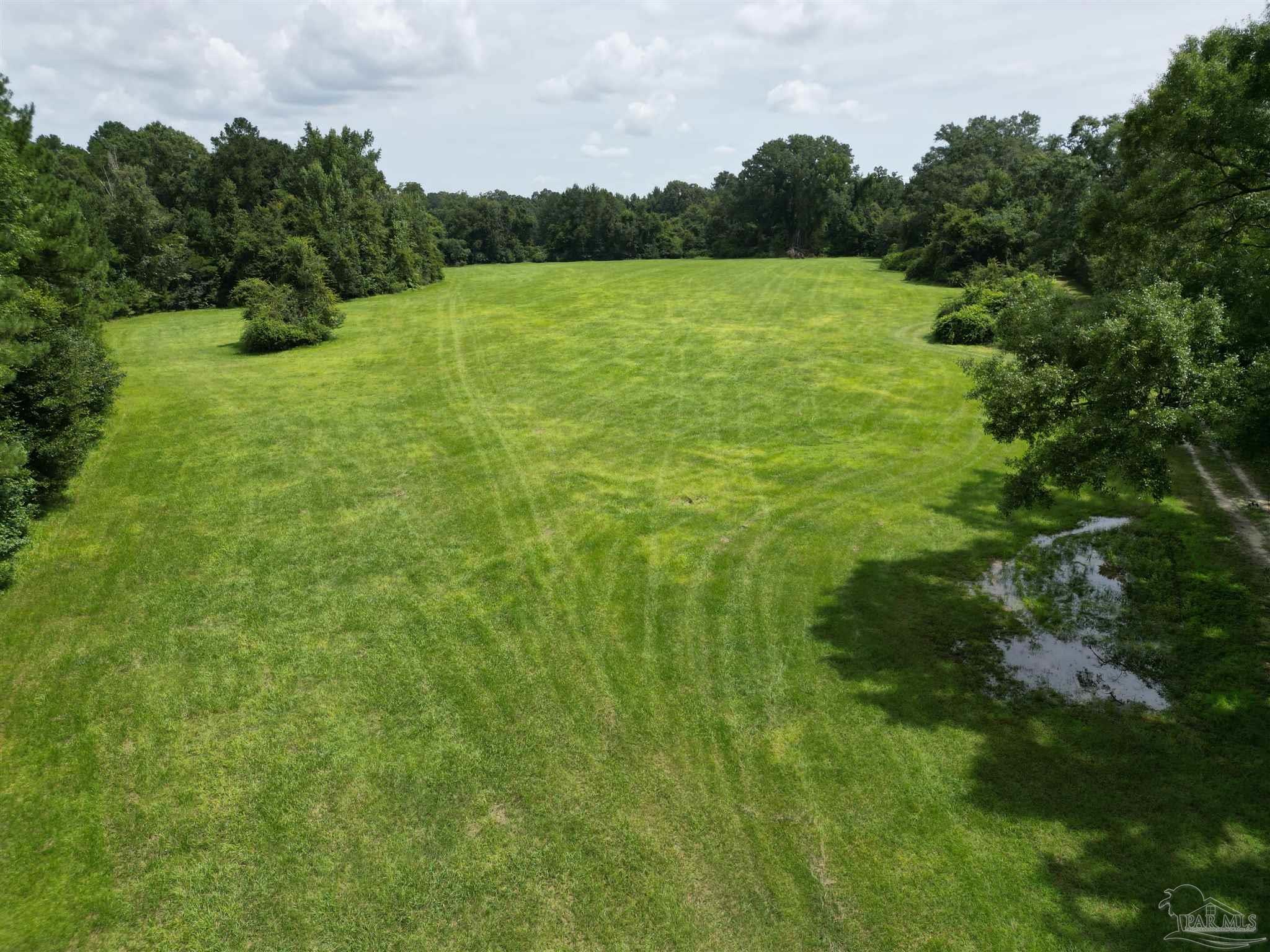 0 Marietta Road Andalusia, AL 36420 - Photo 3 of 27