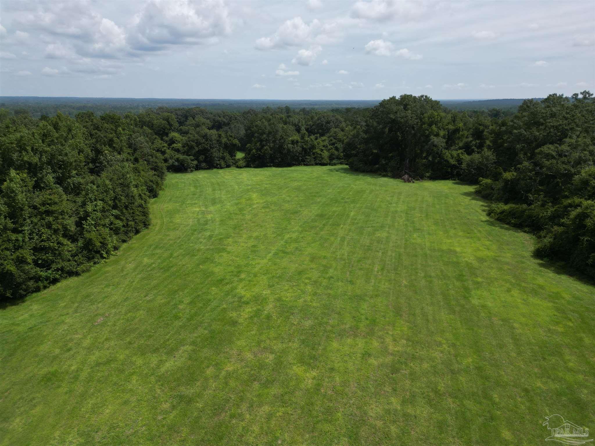 0 Marietta Road Andalusia, AL 36420 - Photo 4 of 27