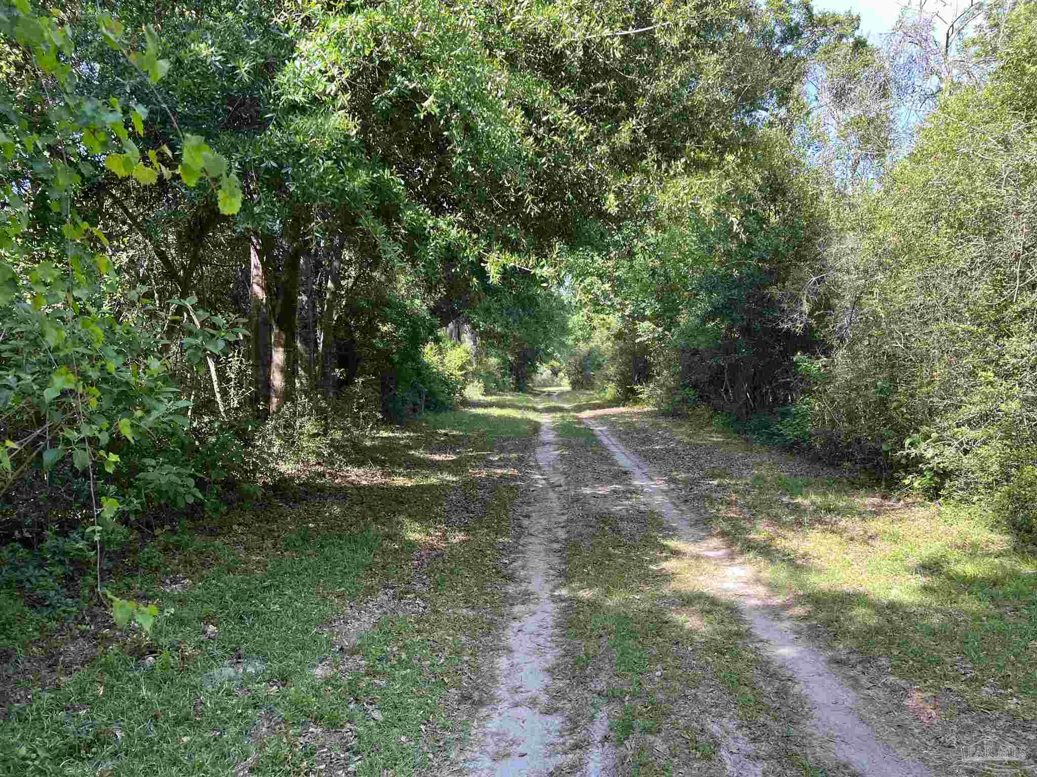 0 Marietta Road Andalusia, AL 36420 - Photo 5 of 27