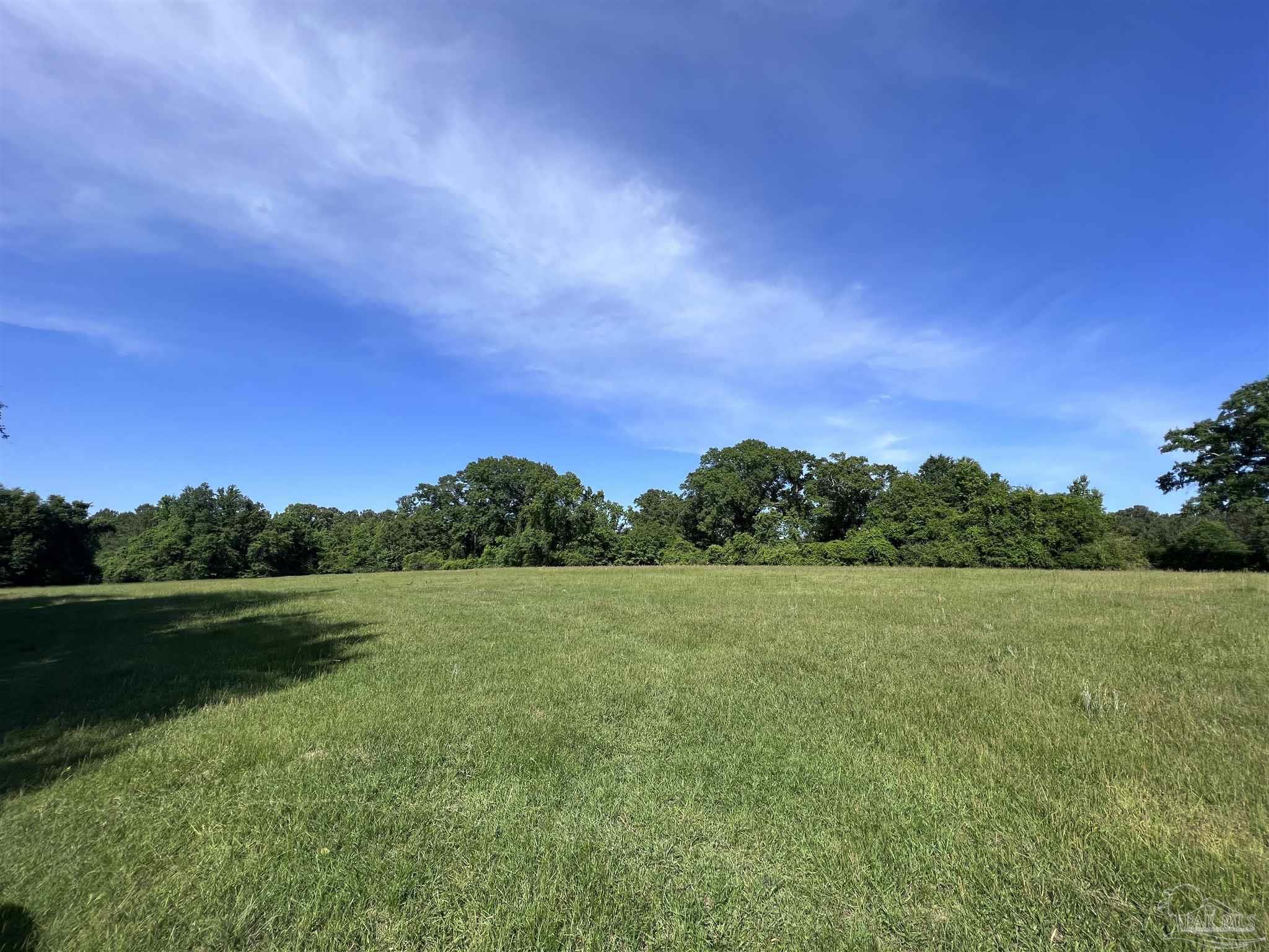 0 Marietta Road Andalusia, AL 36420 - Photo 7 of 27